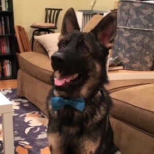 Fundraising Page: Zach Fleischer